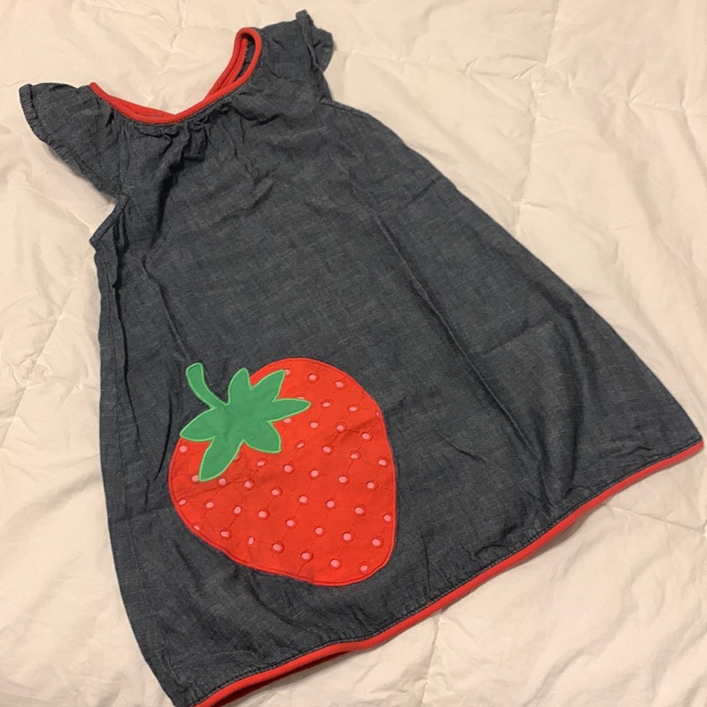 Gymboree strawberry chambray dress